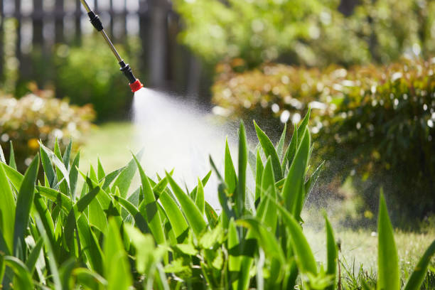 Tamper-Resistant Bait Stations for Rodents in Lawrence