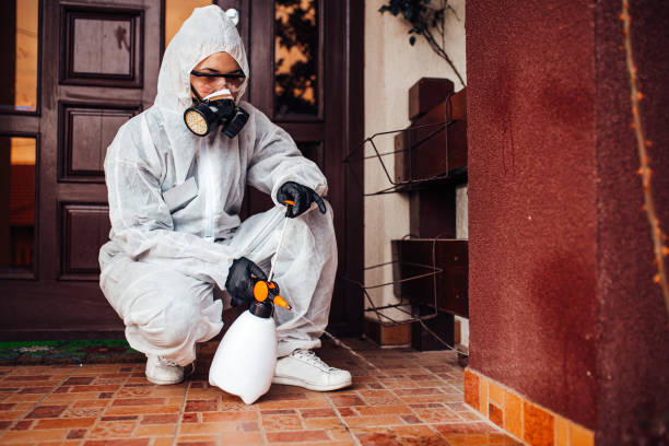 Attic and Crawl Space Rodent Treatment in Lawrence
