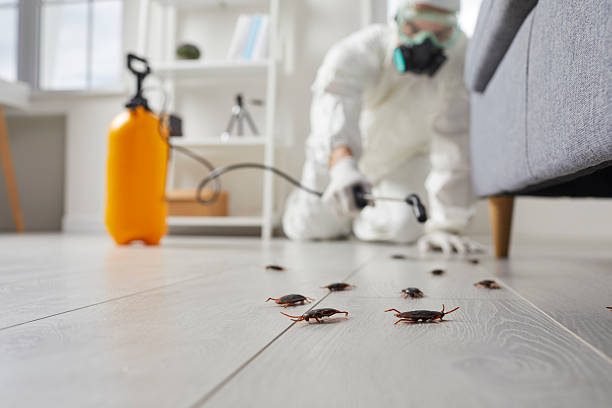 Commercial Rodent Management in Lawrence